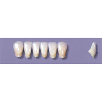 MYERSON ANTERIORS #A71/G (1x6 CARD) Card