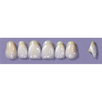 MYERSON ANTERIORS #A72/D (1x6 CARD) Card