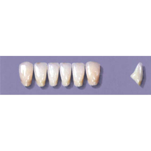 MYERSON ANTERIORS #A73/70 (1x6CARD) Card