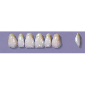MYERSON ANTERIORS #A7/I (1x6 CARD) Card