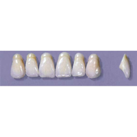 MYERSON ANTERIORS #A9/73 (1x6 CARD) Card