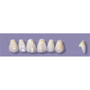 MYERSON ANTERIORS #PM2/F (1x6 CARD) Card