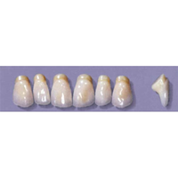 MYERSON ANTERIORS #PM6/G (1x6 CARD) Card