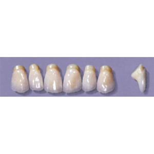 MYERSON ANTERIORS #PM6/G (1x6 CARD) Card