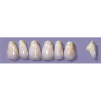 MYERSON ANTERIORS #PM8/65 (1x6CARD) Card