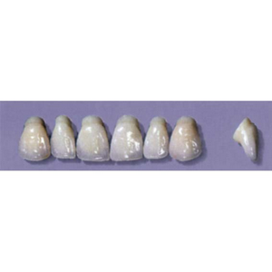 MYERSON ANTERIORS #PW2/D (1x6 CARD) Card