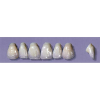 MYERSON ANTERIORS #PW2/H (1x6 CARD) Card