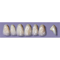 MYERSON ANTERIORS #PW6/73 (1x6CARD) Card