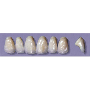 MYERSON ANTERIORS #PW6/D (1x6 CARD) Card