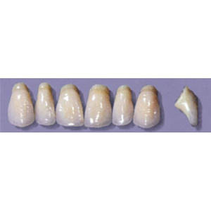 MYERSON ANTERIORS #PW8/73 (1x6CARD) Card