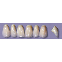 MYERSON ANTERIORS #PW8/F (1x6 CARD) Card