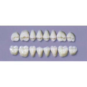 MYERSON DURA POST #28SLL/60 (1x8 CARD) Card