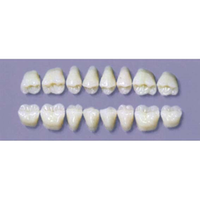Myerson Dura Post #30SLL/F (1X8 Card) Each Card