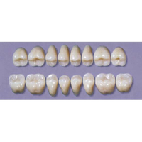 MYERSON DB SYN POST #30LSL/G (1x8 CARD) Card