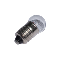 IEC MES Lamp Globe