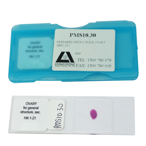 Livingstone Prepared Slide, 25 Bacteriology Slides, Each
