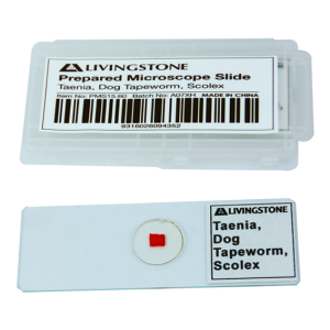 Livingstone Prepared Slide, 25 Bacteriology Slides, Each