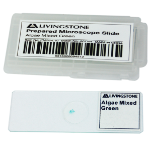 Livingstone Prepared Slide, 25 Bacteriology Slides, Each