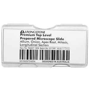 Livingstone Premium Top Level Prepared Slide, Allium, Onion, Apex Root, Mitosis, Longitudinal Section, Each Each