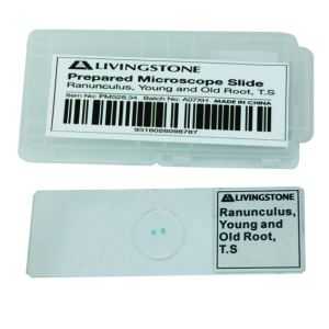 Livingstone Prepared Slide Transverse