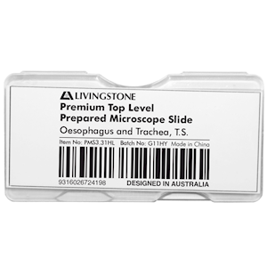 Livingstone Premium Top Level Prepared Slide, Oesophagus and Trachea, Transverse Section, Each Each