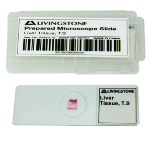 Livingstone Prepared Slide Transverse