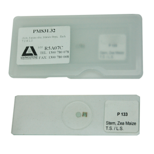 Livingstone Prepared Slide, 25 Bacteriology Slides, Each