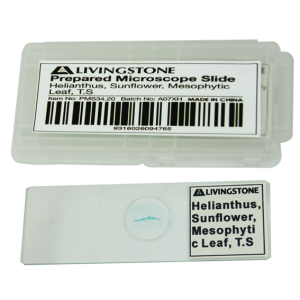 Livingstone Prepared Slide Transverse