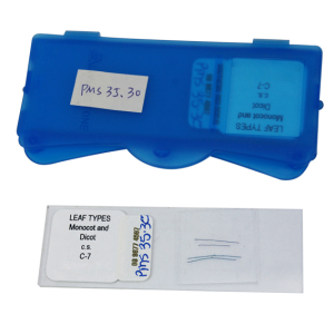 Livingstone Prepared Slide, 25 Bacteriology Slides, Each