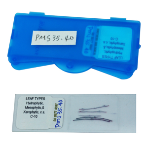Livingstone Prepared Slide, 25 Bacteriology Slides, Each
