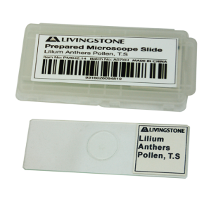 Livingstone Prepared Slide Transverse