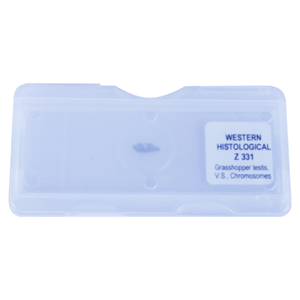 Livingstone Prepared Slide Transverse