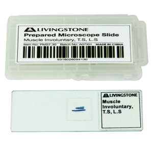 Livingstone Prepared Slide, 25 Bacteriology Slides, Each