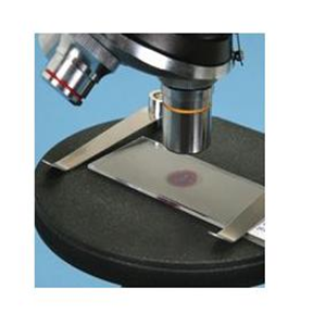 Livingstone Prepared Slide, 25 Bacteriology Slides, Each