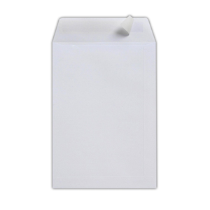 Spicers Envelope Wallet