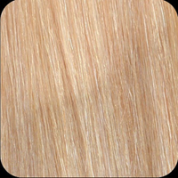 Angel Extensions Hair Extension, 50cm, Light Golden Blonde and Lightest Golden Blonde, 20 Pieces/Pack Pack