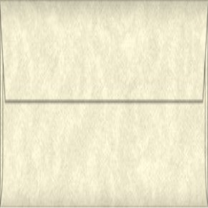 ENV. 110X220MM PARCHTONE AGED DL 25/PK Pack
