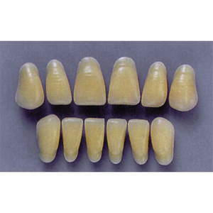 ULTRADENT ANT. 1N/65 UPPER (1x6 CARD) Card
