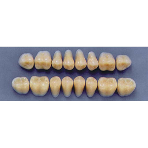 ULTRADENT POST. 29L/66 UPPER (1x8 CARD) Card