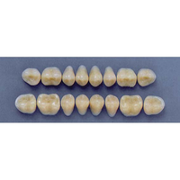 ULTRADENT POST. 29M/67 LOWER (1x8 CARD) Card