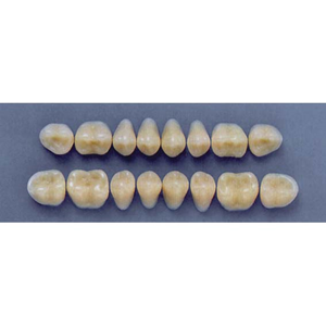 ULTRADENT POST. 29M/69 LOWER (1x8 CARD) Card