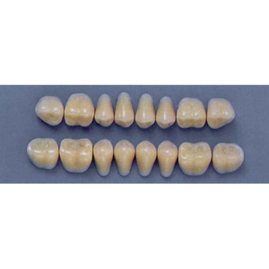 ULTRADENT POST. 29S/69 UPPER (1x8 CARD) Card