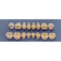 ULTRADENT POST 30M/65 LOWER (1x8 CARD) Card