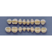 ULTRADENT POST 30S/59 UPPER (1x8 CARD) Card