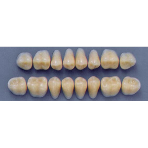ULTRADENT POST. 31L/62 LOWER (1x8 CARD) Card