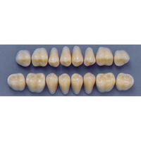 ULTRADENT POST. 31L/A3 UPPER (1x8 CARD) Card