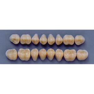 ULTRADENT POST. 31M/59 LOWER (1x8 CARD) Card