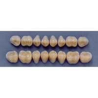 ULTRADENT POST. 31M/A2 LOWER (1x8 CARD) Card