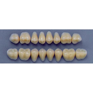 ULTRADENT POST. 31S/65 UPPER (1x8 CARD) Card