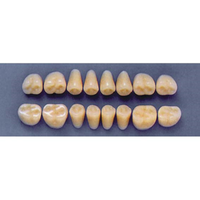 ULTRADENT POST. 31Z/62 LOWER (1x8 CARD) Card